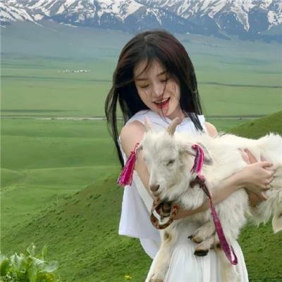 挑战阿拉斯加